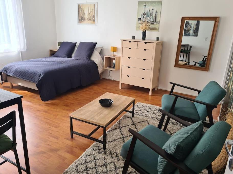 Studio Avec Terrasse Et Place De Parking Toulouse Ngoại thất bức ảnh